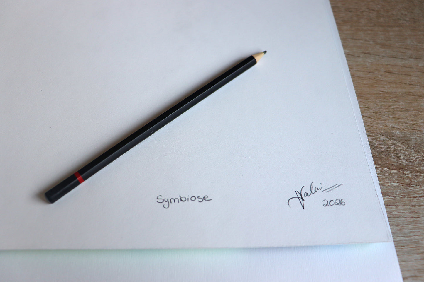 Limited Edition Fine Art Print - SYMBIOSE