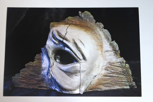 Limited Edition Fine Art Print - UNGESEHEN